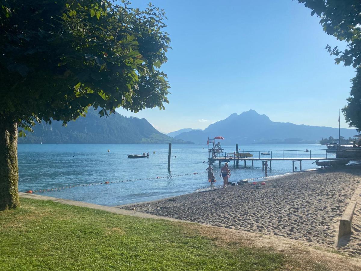 Swiss Paradise Weggis Esterno foto